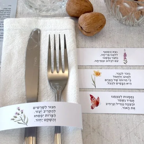 וחיבקת | פסח | קטן