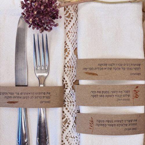וחיבקת | שבועות | קטן